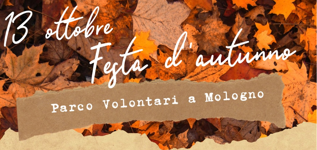 Immagine che raffigura Festa d'autunno presso il Parco dei Volontari di Mologno